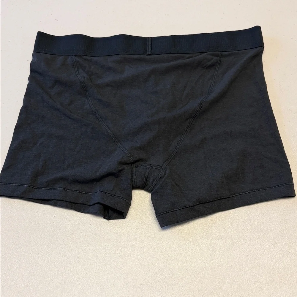 NWOT SKIMS Boxer Briefs